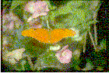 wp0410aaf4.png
